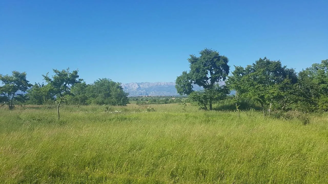 Savrsen Odmor U Villa Ivona Zadar Croacia